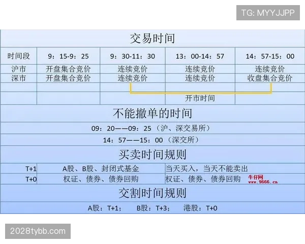 暂停时间限制是如何规定的？规则解析与实际应用说明