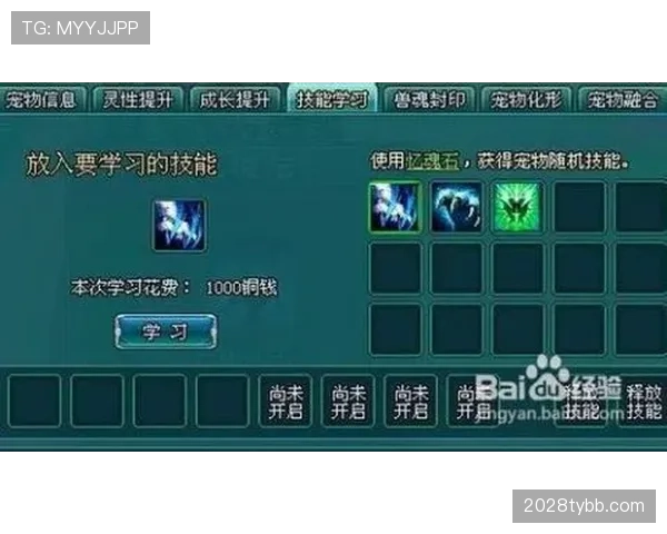 巴尔科拉技术细腻度与进攻选择解析
